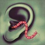 An Odd Entrances - CD Audio di Thee Oh Sees