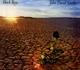 Black Rose - CD Audio di J. D. Souther