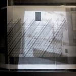 Final Experiment - Vinile LP di Shed