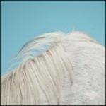 All Yours - Vinile LP di Widowspeak