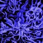 Aseity - CD Audio di Esoterica