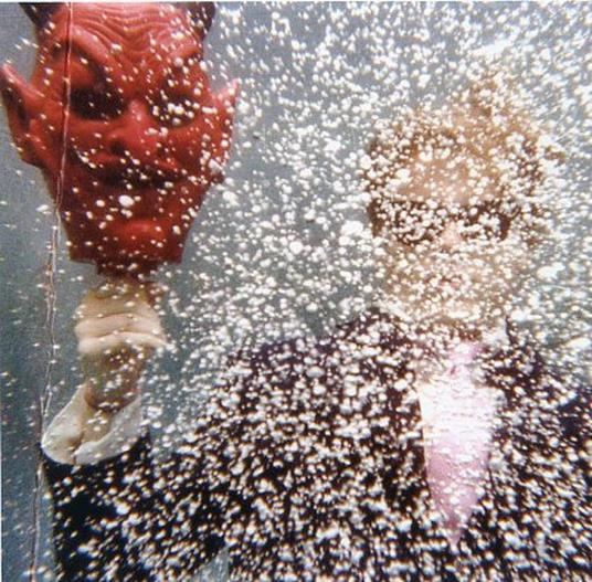 Ty Segall - Vinile LP di Ty Segall