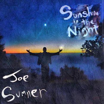 Sunshine In The Night - CD Audio di Joe Sumner