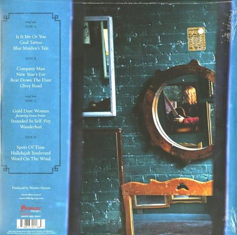 Ashes & Dust (+ mp3) - Vinile LP di Warren Haynes - 2