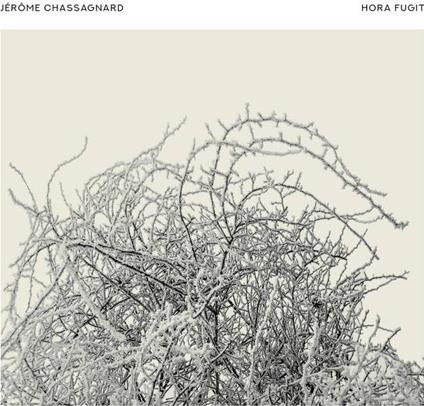 Hora Fugit - CD Audio di Jerome Chassagnard