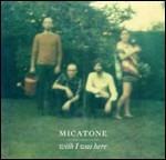Wish I Was Here - Vinile LP di Micatone