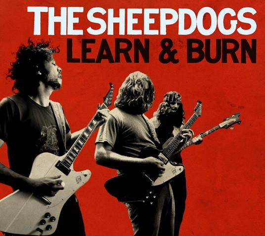Learn and Burn - CD Audio di Sheepdogs