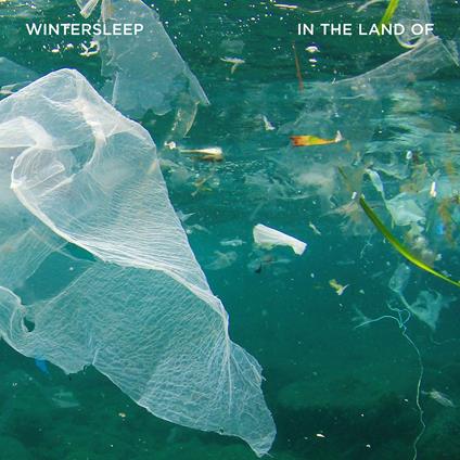 In the Land of - CD Audio di Wintersleep