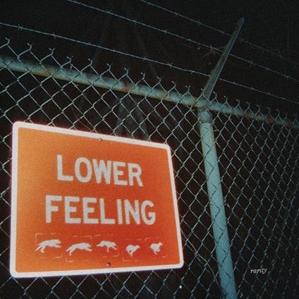 Lower Feeling (Transparent Orange Vinyl) - Vinile LP di Rarity