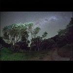 Older Terrors - CD Audio di Esben and the Witch