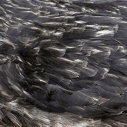 Arstidir - CD Audio di Arstidir