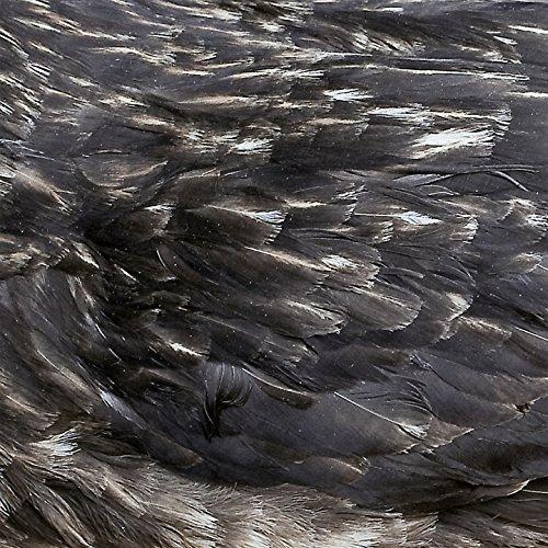 Arstidir - CD Audio di Arstidir