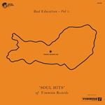 Bad Education vol.1: Soul Hits of Timmion Records