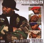 Icewater - CD Audio di Raekwon