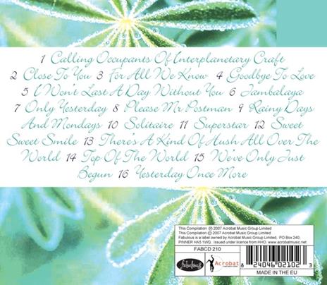 Instrumental Carpenters - CD Audio - 2