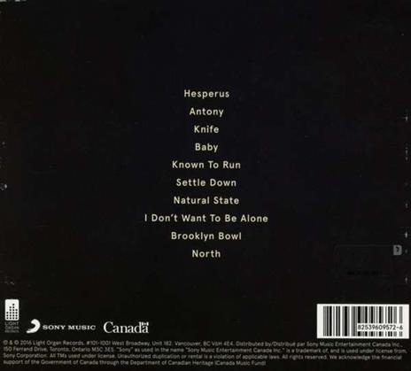 Passing Shade - CD Audio di Twin River - 2