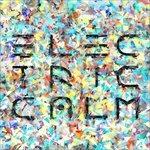 Electric Calm vol.6 - CD Audio