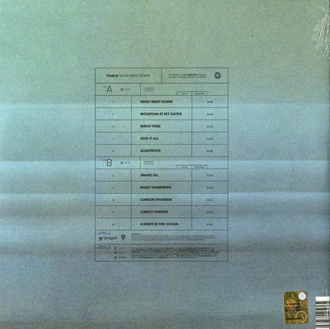 What Went Down - Vinile LP di Foals - 2