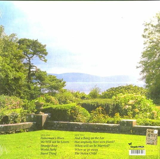 Fisherman's Blues - Vinile LP di Waterboys