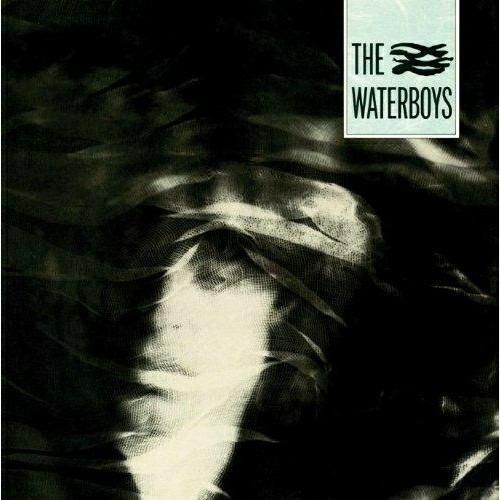 The Waterboys (180 gr.) - Vinile LP di Waterboys