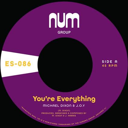 You're Everything - You're All I Need - Vinile 7'' di Michael Dixon