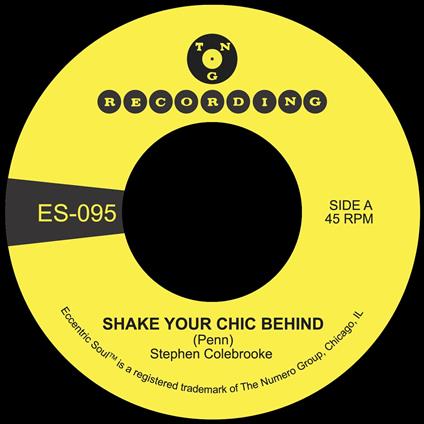 Shake Your Chic Behind - Stay Away From Music - Vinile 7'' di Stephen Colebrooke