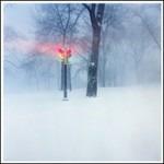 Fixed Rope - CD Audio di Express Rising