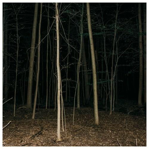 Fixed Rope II - CD Audio di Express Rising