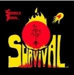 Simmer Down - Vinile LP di Survival