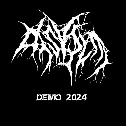 Demo 2024 - CD Audio di Disvile