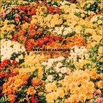 Home Wrecking Years - Vinile LP di Brendan Canning