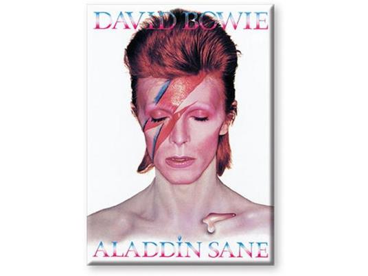 Aquarius Ent Bowie Aladdin Sane Flat Magnet Magneti