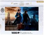 Harry Potter Y Newt Scamander (Puzzle 1000 Pz)