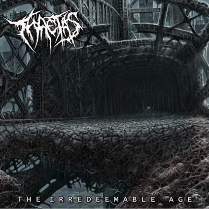 The Irredeemable Age - Vinile LP di Thaetas