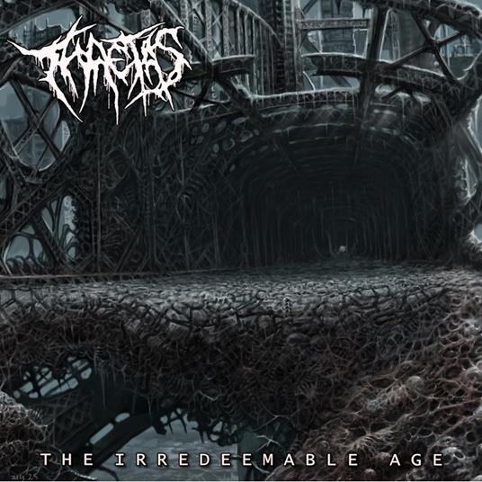 The Irredeemable Age - Vinile LP di Thaetas
