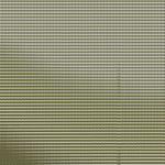 Green and Grey (Expanded Edition)
