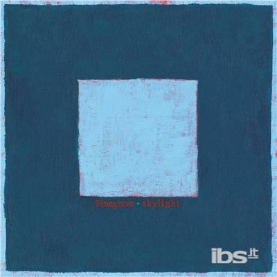 Skylight - Vinile LP di Pinegrove