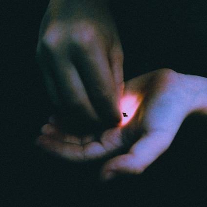 Stray - CD Audio di Bambara