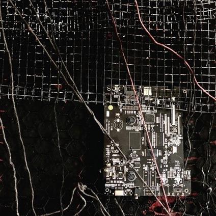 Merzbow / Prurient - Black Crows Cyborg - Vinile LP