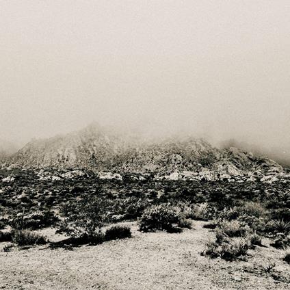 Mnemonic. Ambient Mosaic - Vinile LP di Mizmor