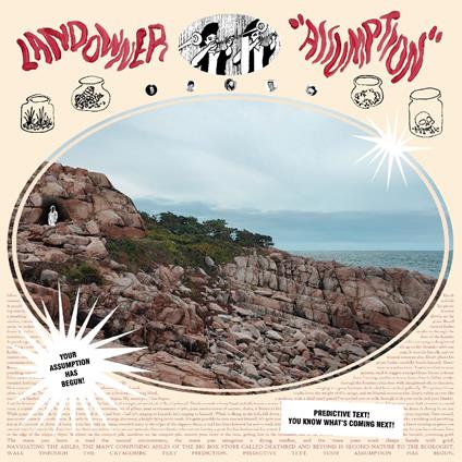 Assumption - Vinile LP di Landowner