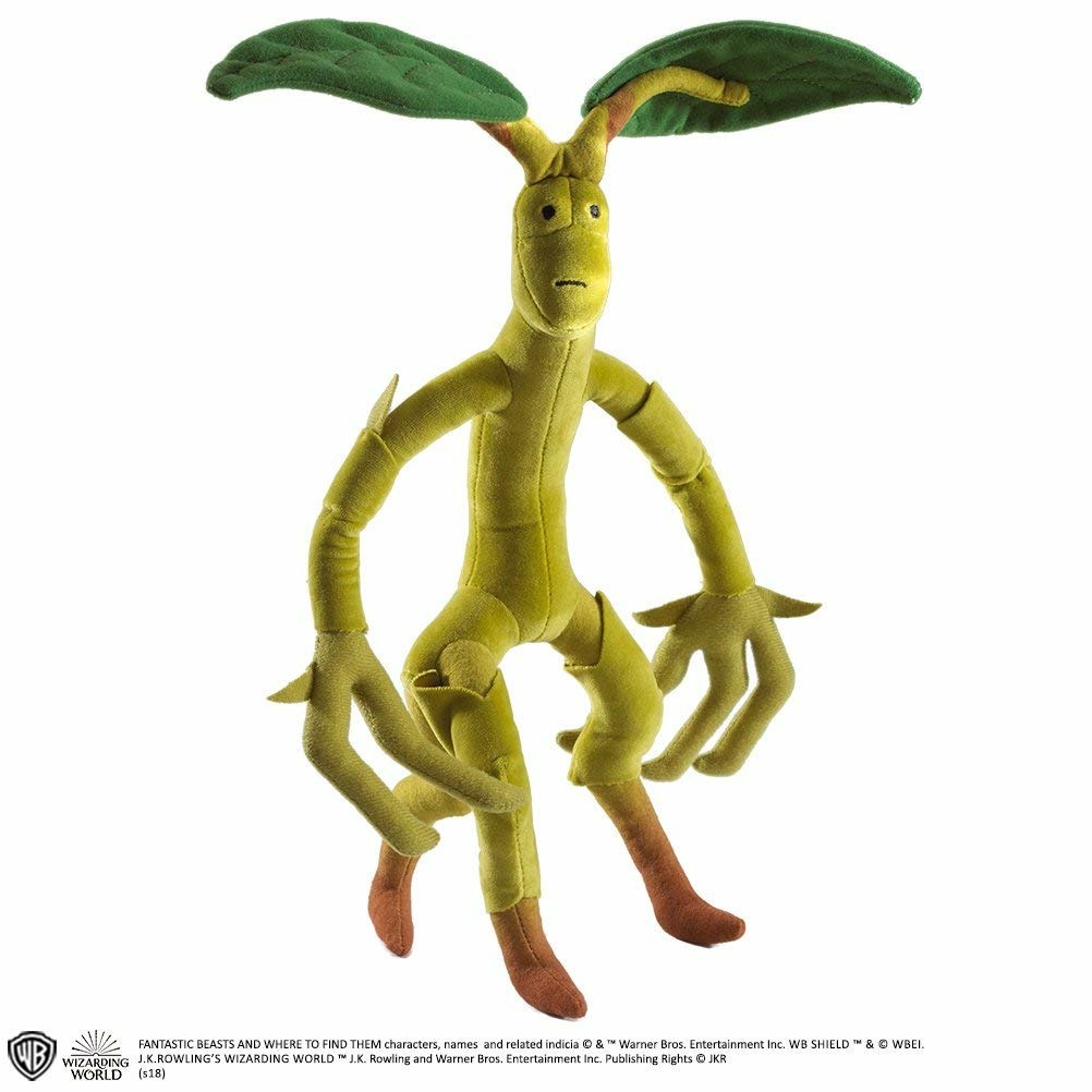 ibs