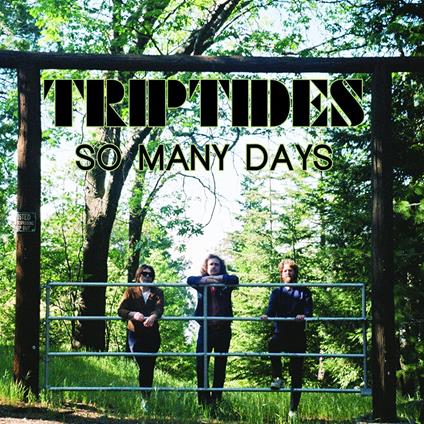 So Many Days - Vinile LP di Triptydes