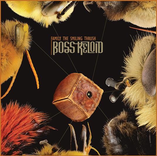 Family the Smiling Thrush - Vinile LP di Boss Keloid