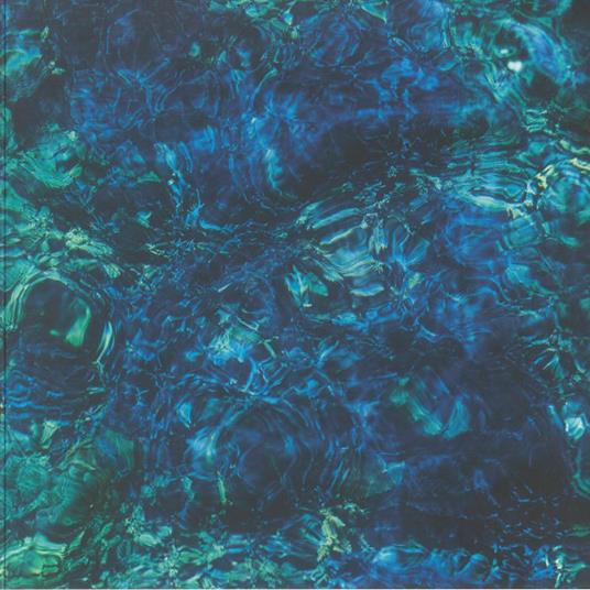 Luminescent Creatures - Vinile LP di Ichiko Aoba