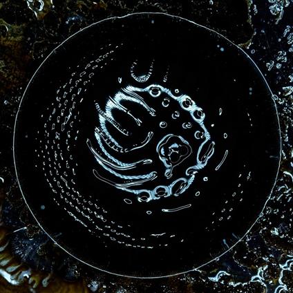 Stonus (Black Vinyl) - Vinile LP di Stonus