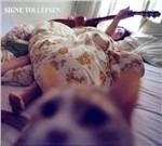 Signe Tollefsen (Digipack)