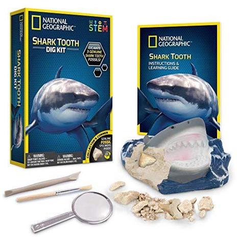National Geographic Kit di Scavo Dente di Squalo