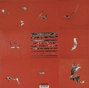 Hollinndagain - Vinile LP di Animal Collective