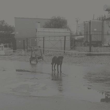 After Its Own Death - Walking in a Spiral Towards the House - Vinile LP di Nivhek